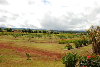 2007_05_30_HAWAII (8) (Large).JPG